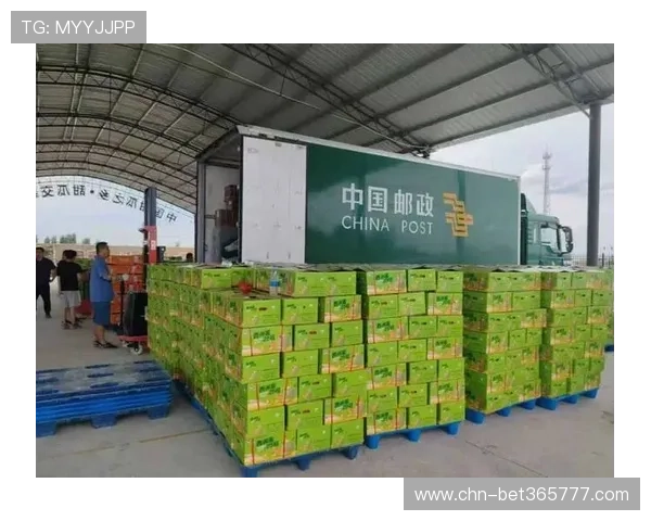 依托广东365速发强大的配送网络，实现24小时内高效送达各大城市和偏远地区