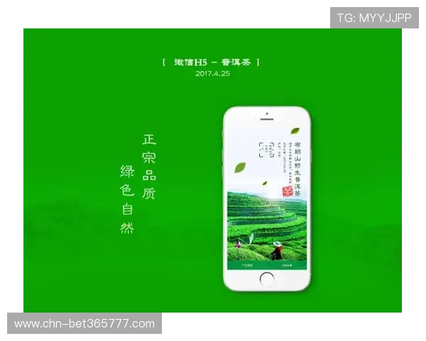 yinbet在线登录入口全面升级提升登录速度优化用户体验实现多平台无缝切换的详细操作流程