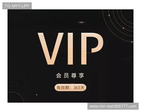 全面解析365的备用网址如何保障账号安全与游戏连续性的实用指南